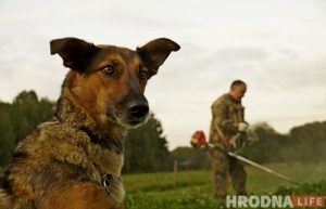 Зачем белкам забор, а колясочникам - пандусы. Коммунальники то слышат Юлию Коледу, то не слышат, а она все равно пишет Зачем белкам забор, а колясочникам - пандусы. Коммунальники то слышат Юлию Коледу, то не слышат, а она все равно пишет