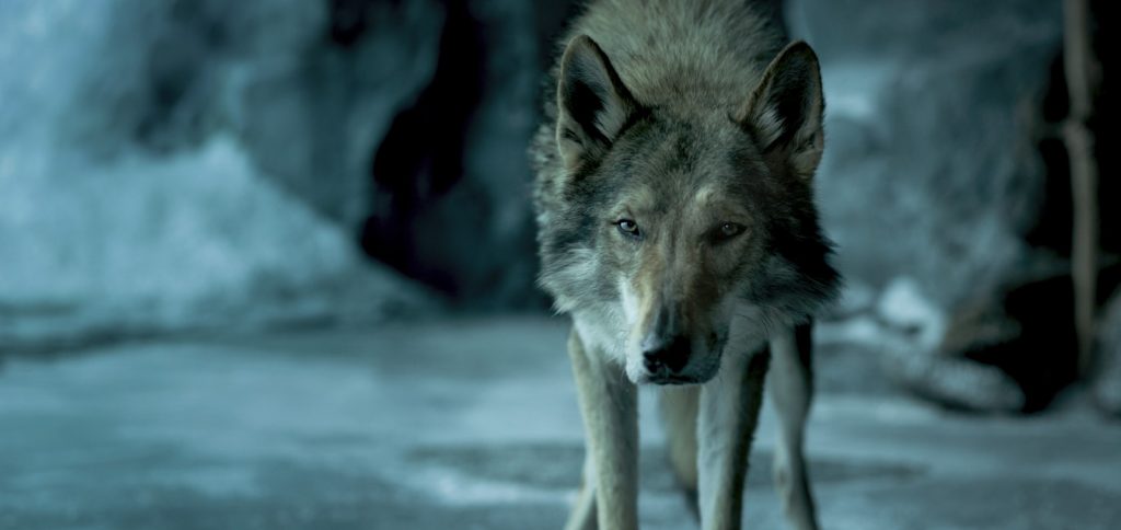 Alpha 2018 movie
