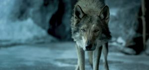 «Альфа». Когда смотреть только ради пейзажей Alpha 2018 movie