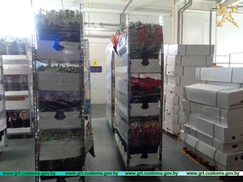 200 тысяч цветов пытались незаконно ввезти через Гродно