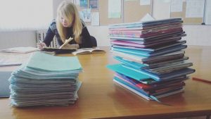 Ставка на фермеров или поддержка колхозов на плаву? Сравнили сельское хозяйство в Польше и Беларуси Ставка на фермеров или поддержка колхозов на плаву? Сравнили сельское хозяйство в Польше и Беларуси