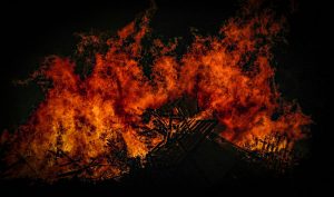 Под Гродно сгорел дачный дом. Там найден труп хозяйки Под Гродно сгорел дачный дом. Там найден труп хозяйки