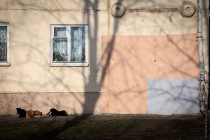 «ЖЭС-арт». Белорус снял фильм про стерильные улицы и закрашеные граффити «ЖЭС-арт». Белорус снял фильм про стерильные улицы и закрашеные граффити