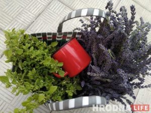 Ад по-гродненски. Как деревья могли бы спасти нас от жары, но их не хватает Ад по-гродненски. Как деревья могли бы спасти нас от жары, но их не хватает
