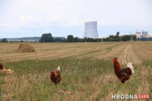 “Мои атомы довольны”. Школу, садик, больницу и ядерное топливо ждут в Островце этой осенью “Мои атомы довольны”. Школу, садик, больницу и ядерное топливо ждут в Островце этой осенью
