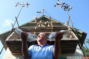 Гродненец 50 лет разводит голубей: «Раньше было модно, сейчас - занятие для души» Гродненец 50 лет разводит голубей: «Раньше было модно, сейчас - занятие для души»