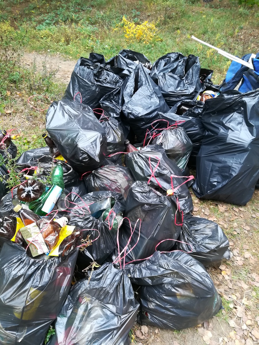 CleanUp Day. Смотрите, как Гродно почистили от мусора мусор уборка