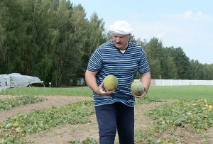 Внезапный стимул идти в аграрии: возможно, им дадут отсрочку от армии Фота: by24.org