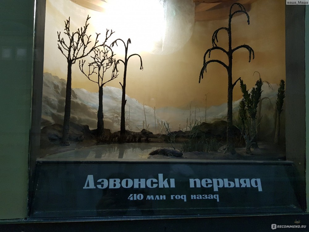 Свекла, партизаны, чучела животных. Почему новый старый музей в текстилях - идея так себе Свекла, партизаны, чучела животных. Почему новый старый музей в текстилях - идея так себе