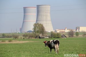 Премьер Литвы: Страны Балтии договорились не покупать электроэнергию с Белорусской АЭС