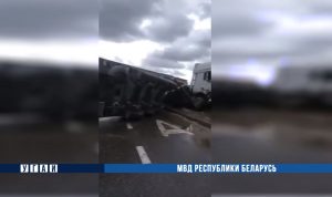 Из-за ДТП в Гродненской области на дорогу высыпались морепродукты Фота: МУС Беларусі