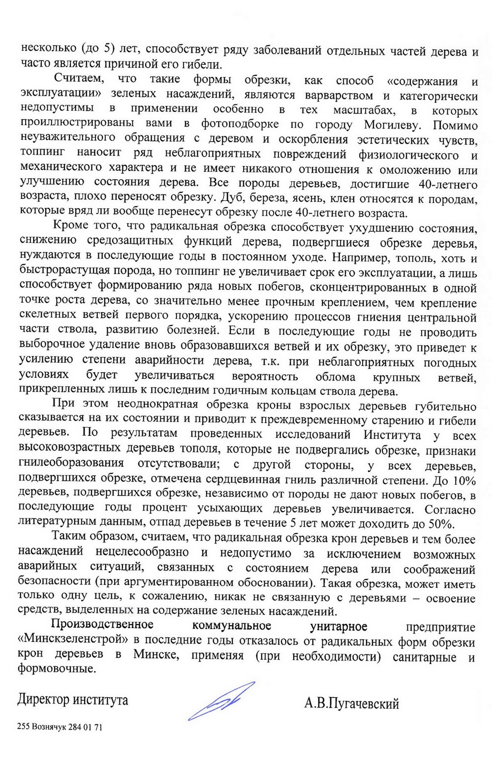Деревья опять обрезают под ноль. Что говорят ботаники и ЖКХ? Фота: vk.com/id495964755