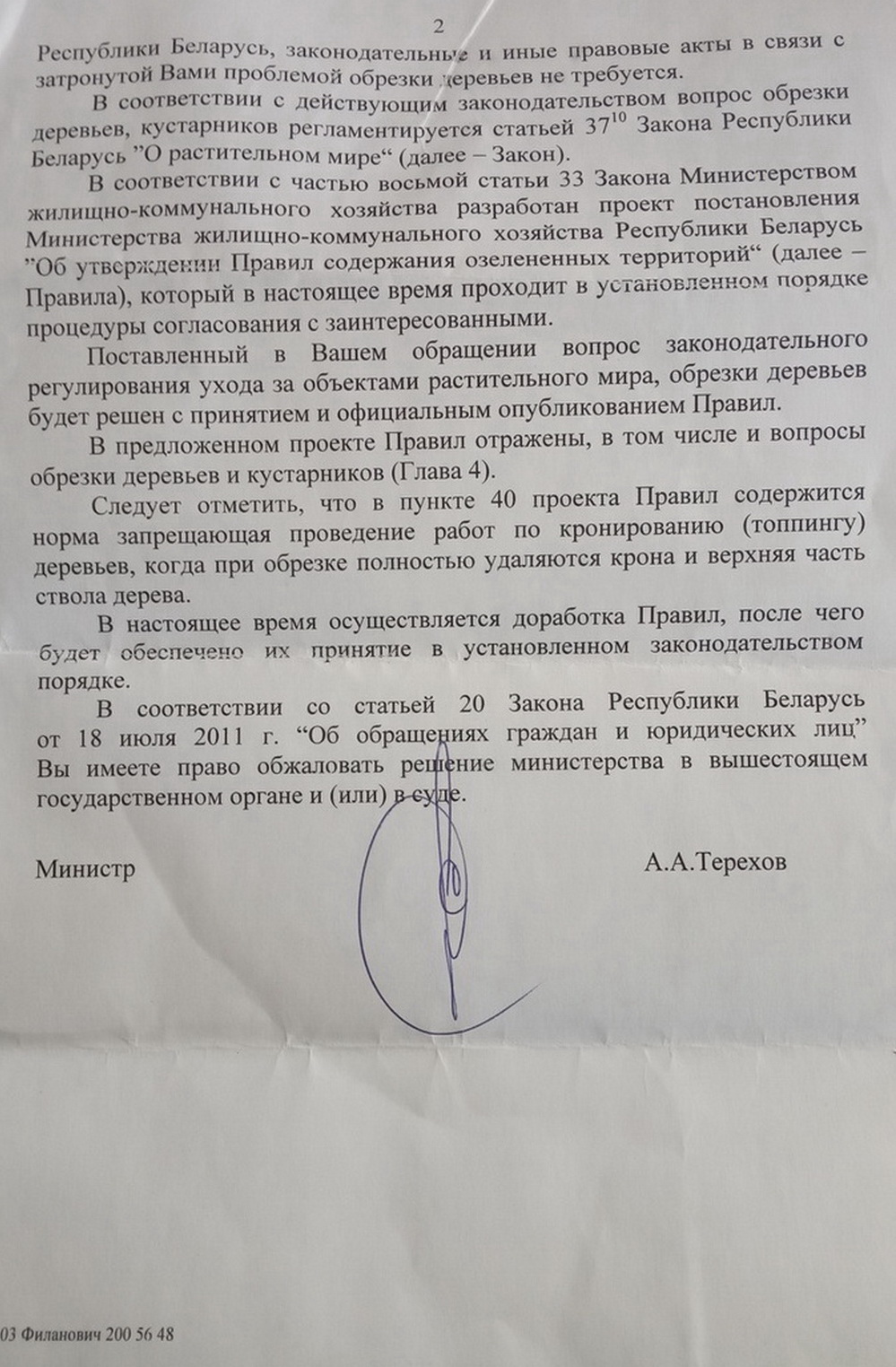 Деревья опять обрезают под ноль. Что говорят ботаники и ЖКХ? Фота: vk.com/id495964755