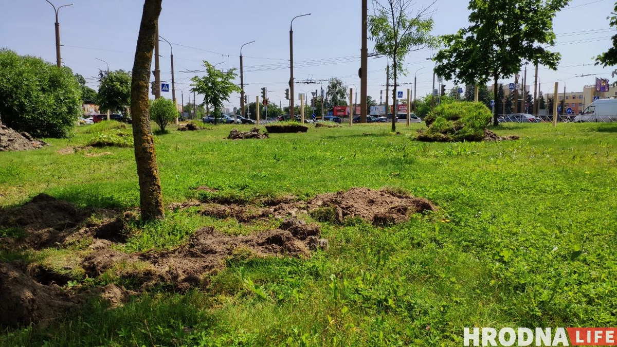 В Гродно появится McDonald’s. Стройка уже началась