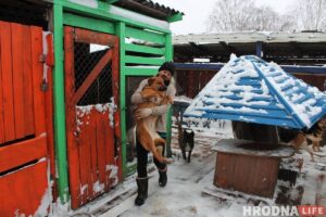 Спасли из сугробов: гродненцы помогли волонтерам расчистить заваленный снегом "домик для собак" Домик для собак "Преданное сердце" в Лапенках