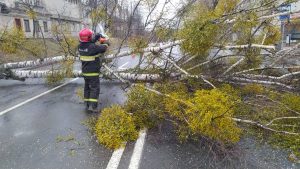 Пострадали 19 населенных пунктов: смотрите фото, что сильный ветер повредил в Гродненской области за выходные Пострадали 19 населенных пунктов: смотрите фото, что сильный ветер повредил в Гродненской области за выходные