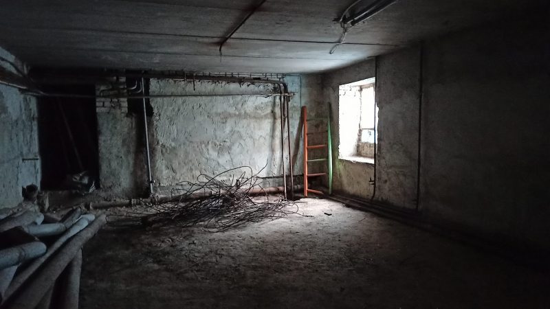 Эвакуявалі катоў і правяралі бамбасховішча. Як жыхары Украіны пражылі першыя дні вайны?