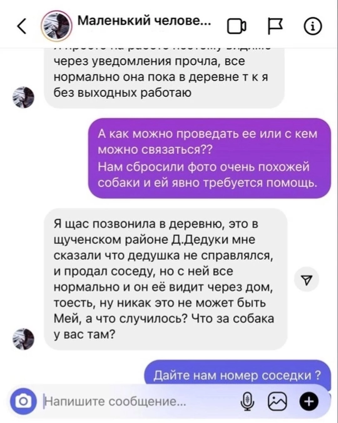 "Она врала изначально”. Гродненские зоозащитники просят прокуратуру продолжить расследование убийства щенка