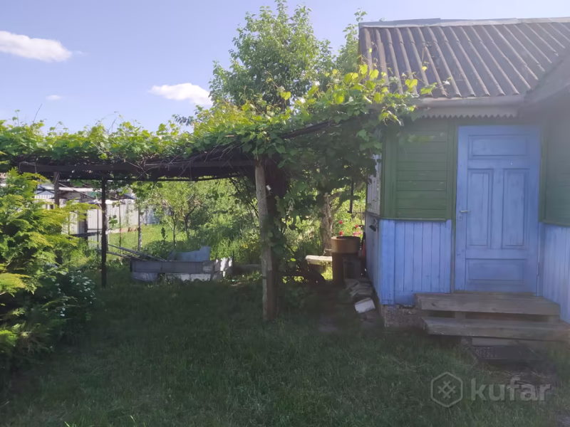 В ста метрах от Немана или недалеко от Юбилейного. Какие дачи под Гродно продаются до $ 10 000
