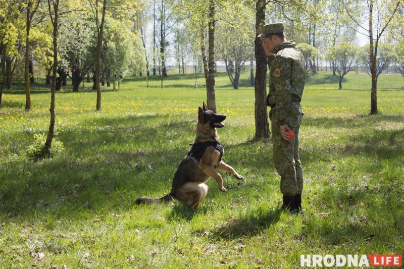 Шэсце, канцэрт і выстава зброі. У Гродне адзначылі Дзень Перамогі, а Караеў распавёў пра "прывід фашызму недалёка ад нас"