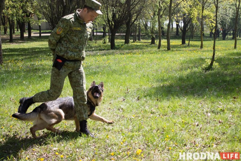 Шэсце, канцэрт і выстава зброі. У Гродне адзначылі Дзень Перамогі, а Караеў распавёў пра "прывід фашызму недалёка ад нас"