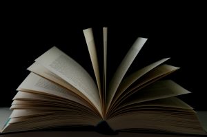 Активистка Бондарева снова ведет войну с книгами. На этот раз - в магазине “Green” Книга. Иллюстративное фото с unsplash.com
