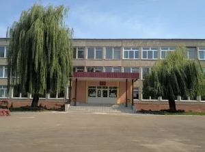 Гимназия 5