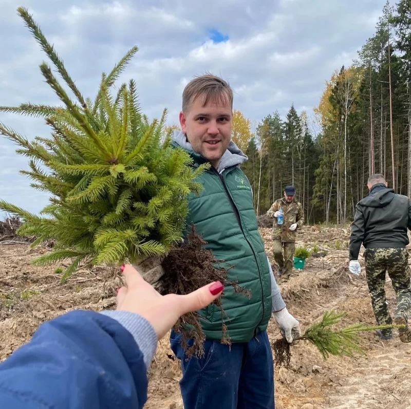 Гродненский лесхоз предлагает садить деревья за деньги. Сколько можно заработать? Как заработать на посадке леса