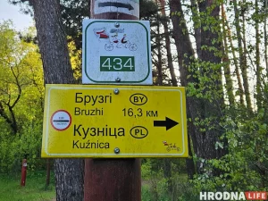 Польша перебросила боевые вертолеты к границе с Беларусью: пилоты будут готовы стрелять Польша перебросила боевые вертолеты к границе с Беларусью: пилоты будут готовы стрелять