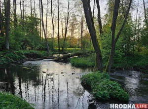 Лососянка