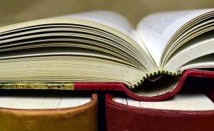 Гродненцы предлагают назвать одну из улиц в честь Лидии Яловчик Книги. Иллюстративное фото: pixabay.com