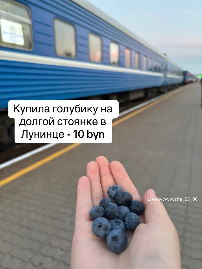 Ценник поездки в Гродно
