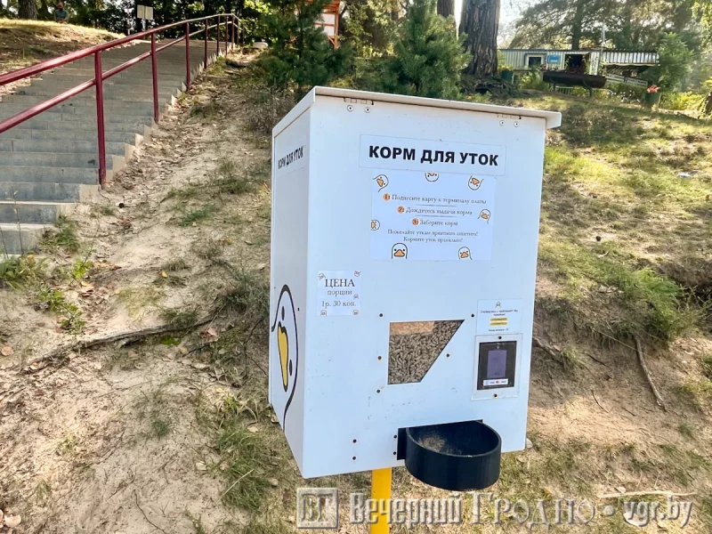 В Гродно появились аппараты для кормления птиц - их установили гродненские предприниматели Аппарат для кормления уток у берега Немана в Пышках. Фото: Вечерний Гродно