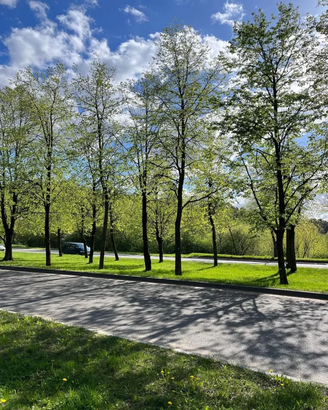 “Что-то из фильмов ужасов”. Топ-3 мест в Гродно, которые горожане обходят стороной