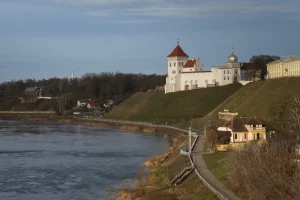 Я нашел раненое дикое животное. Что делать?
