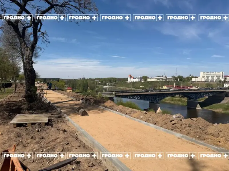 В Гродно продолжают реконструировать сквер на Дарвина. Жители домов жалуются на вырубку деревьев и отсутствие проекта сквер на Дарвина