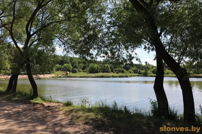 В разгар лета в Слониме закрывают озеро — и заодно вырубают деревья В разгар лета в Слониме закрывают озеро — и заодно вырубают деревья