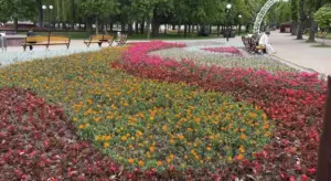 Клумба, созданная «Гроднозеленстроем» в парке Жилибера накануне Фестиваля национальных культур. Фото: grodnozelenstroj.by