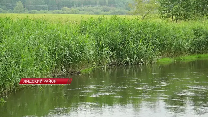 Загрязненная река Дитва. Фото: СТВ