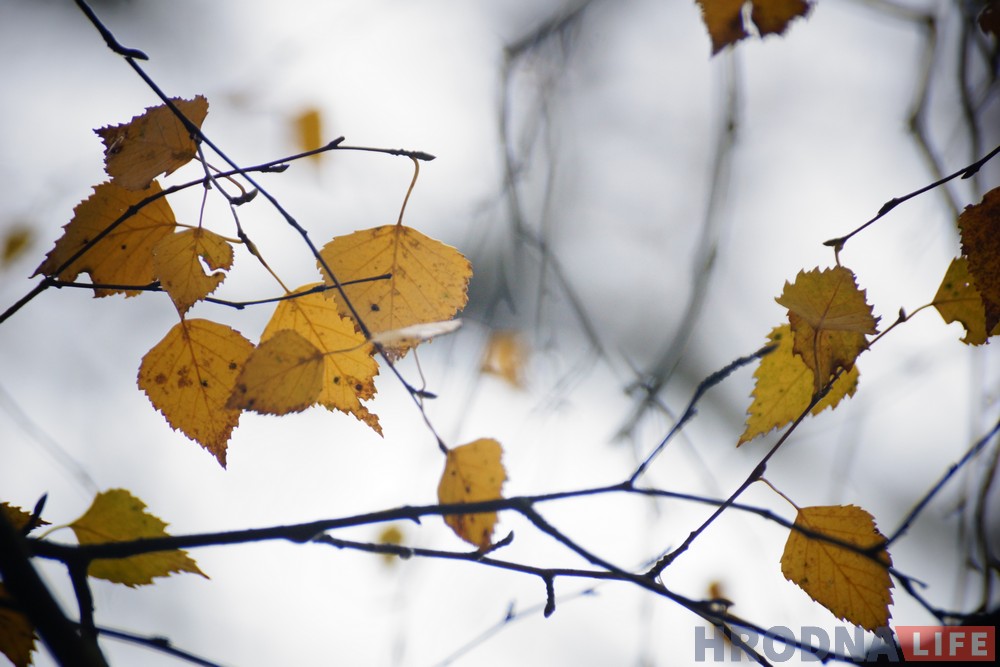 image00018