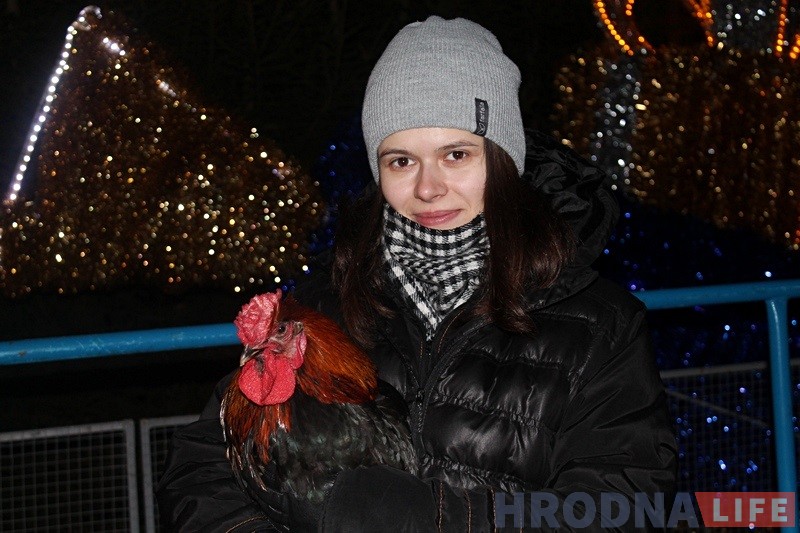 На плошчы Леніна певень Пятровіч прадказвае гродзенцам будучыню На плошчы Леніна певень Пятровіч прадказвае гродзенцам будучыню