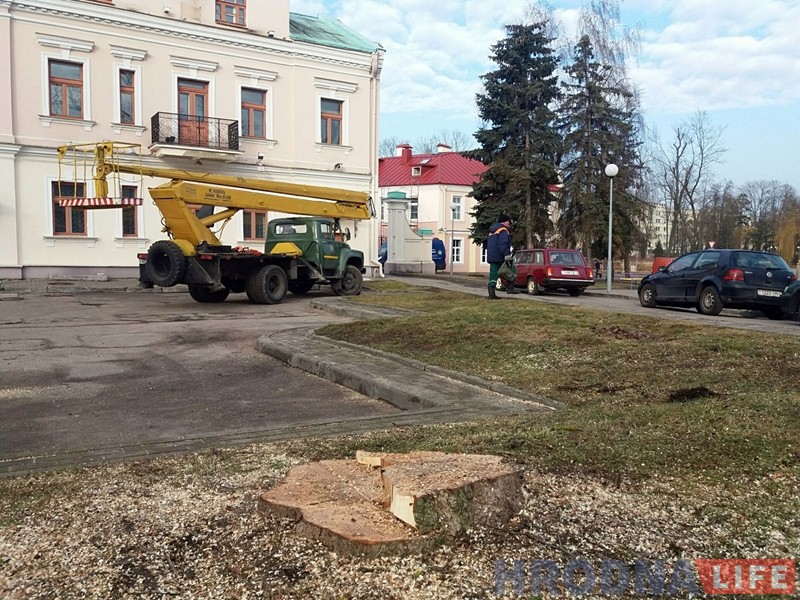 Ахова прыроды прыпыніла спілоўку дрэваў на Тэлеграфнай Ахова прыроды прыпыніла спілоўку дрэваў на Тэлеграфнай