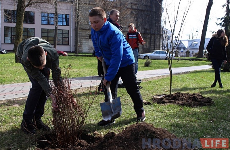 Працягнуць справу бабулі: унук Наталлі Канюк з многімi гродзенцамі папоўніў батанічны сад новымі раслінамі Працягнуць справу бабулі: унук Наталлі Канюк з многімi гродзенцамі папоўніў батанічны сад новымі раслінамі