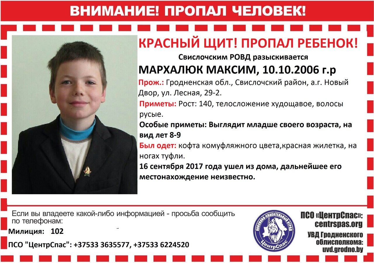 "Паглядзіце - кіламетры людзей". Як у Белавежскай пушчы працягваюць шукаць зніклага хлопчыка