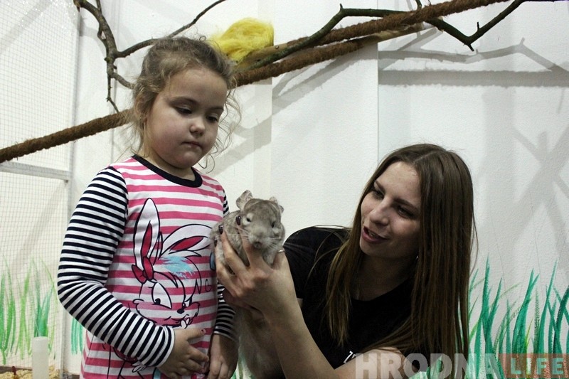 У Гродне адкрыўся яшчэ адзін кантактны заапарк. Там можна дакрануцца да кенгуру У Гродне адкрыўся яшчэ адзін кантактны заапарк. Там можна дакрануцца да кенгуру