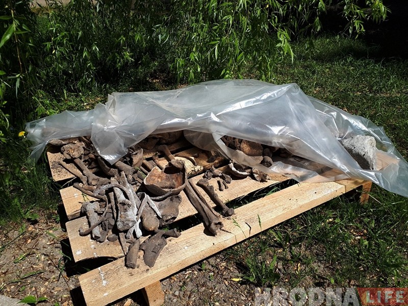 Падчас земляных работ ля Каложы трапляюцца пахаванні людзей Падчас земляных работ ля Каложы трапляюцца пахаванні людзей