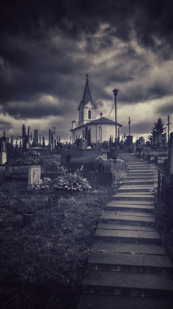 Як з фільма жахаў: гродзенка зрабіла цікавыя фота старых могілак Як з фільма жахаў: гродзенка зрабіла цікавыя фота старых могілак