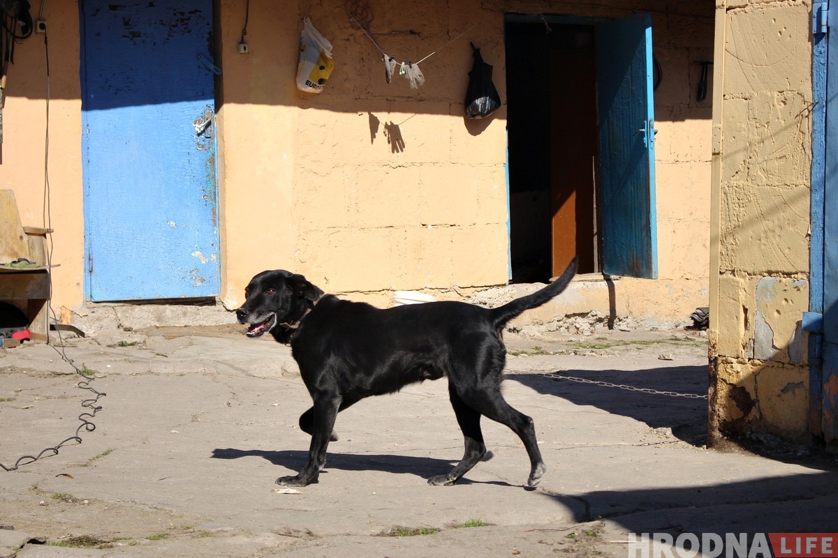 "Паспець да панядзелка". Як жыхары былой вёскі Дзевятоўка рыхтуюцца да зносу
