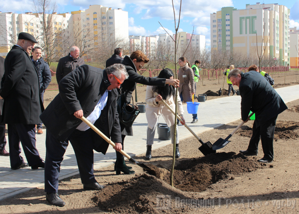 На Курчатава з'явілася алея, якую высадзілі беларусы і палякі На Курчатава з'явілася алея, якую высадзілі беларусы і палякі