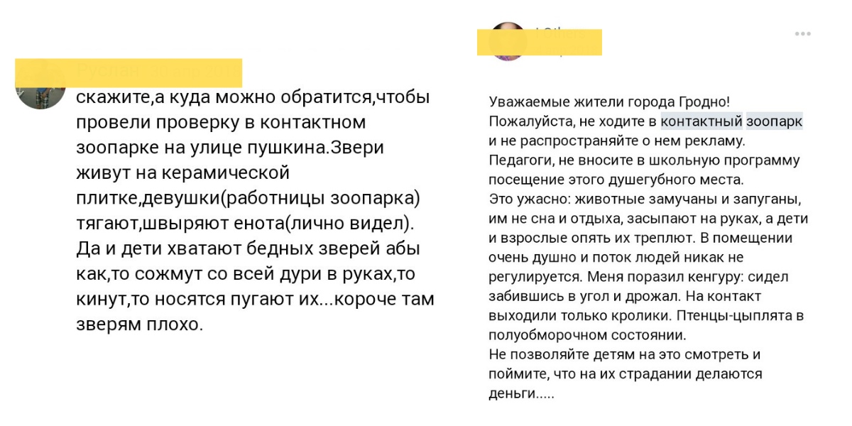 В Гродно проверили контактный зоопарк: владельцам грозит штраф до 1 275 рублей